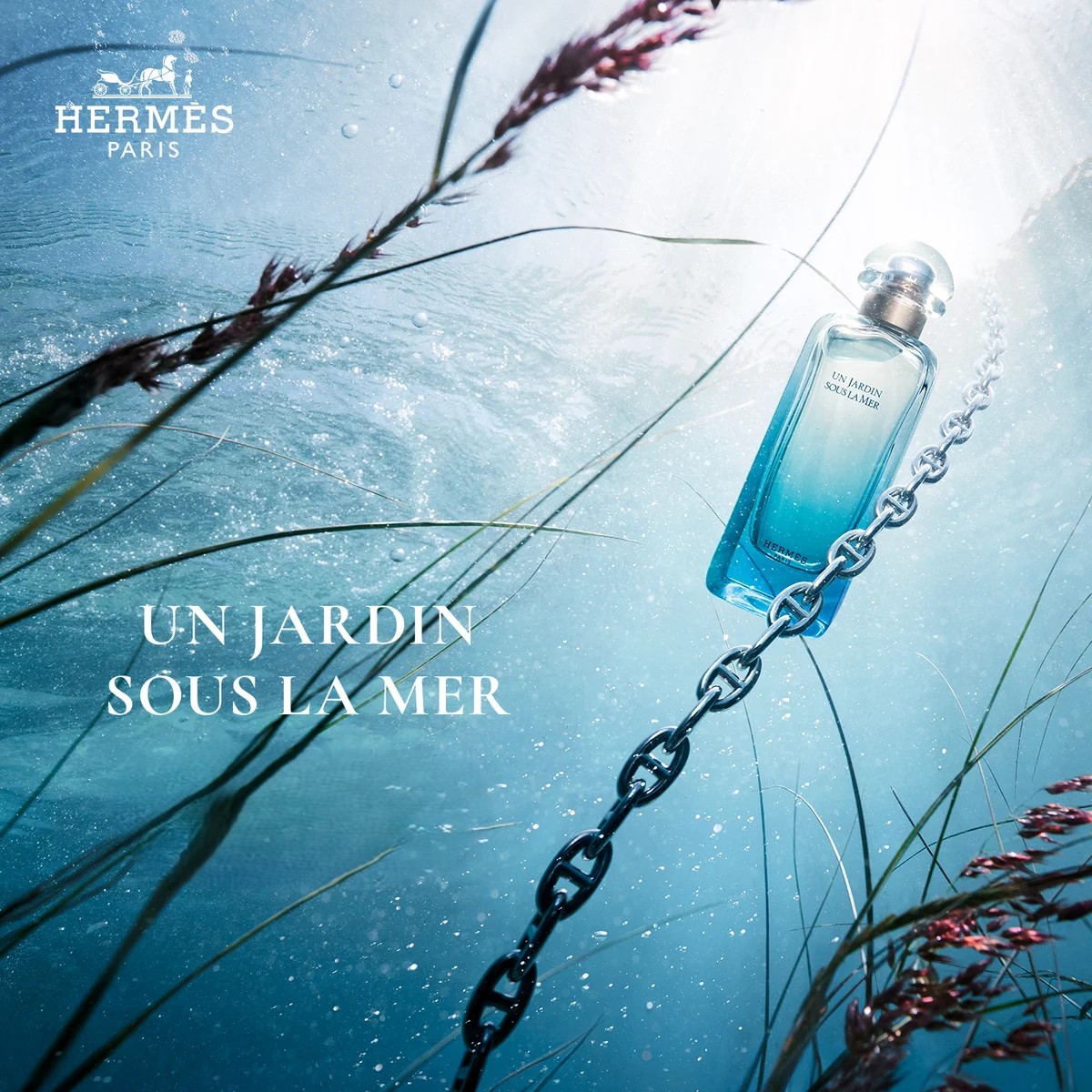 UN JARDIN SOUS LA MER EDT